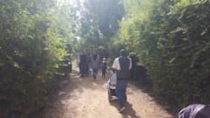 Walking down the trail in the Park - The Monkey Park