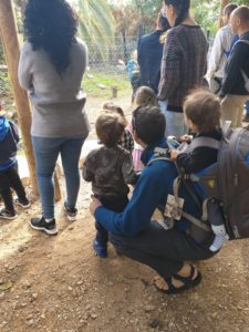 Jannaeus and Mindal watching the Ring tail Lemurs - The Monkey Park