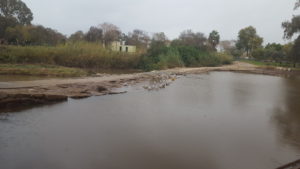 The Yarkon River at 7 Mills in the morning.... cloudburst
