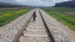 Jannaeus walks on the old railway to Jerusalem - cyclamen flower