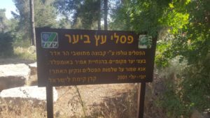 On the first couple of hundred meter of the trail standing a beutiful timber statues made by a group of Har Adar people on june-july 2001 - 1948 trail