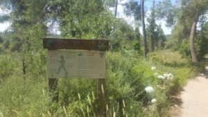 Har Adar trail along the road to the settelment, part of it is parallel to 1948 trail - 1948 trail