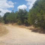 The Bitzronit HaTzvi (Deer Pillbox) 1 - 1948 trail