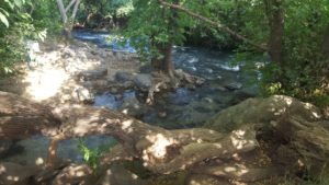 The lower Banias stream - one 3 streams creating the Jordan river