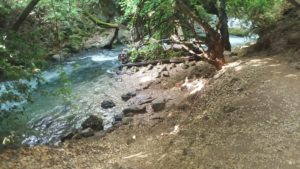 Just lying down there, a T-34 Syrian Tank, overturned in the water - lower Banias stream