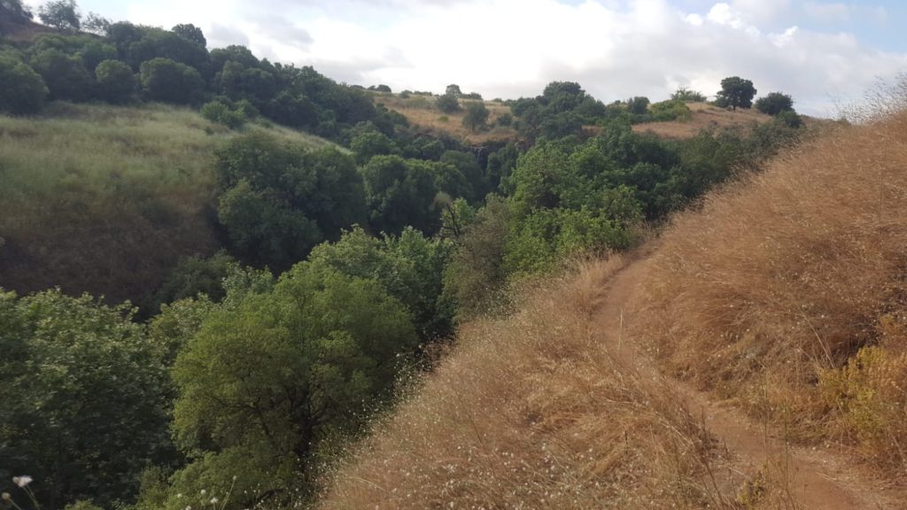 The view from the top, over the stream creek to the west - lower Banyas stream