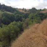 The view from the top, over the stream creek to the west - lower Banyas stream