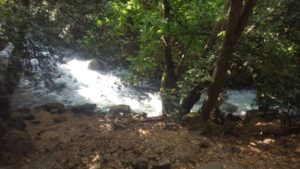 Running along the stream - lower Banyas stream