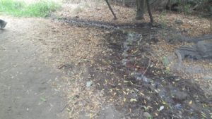 Upper up, it really looks like a small stream - Ein Tzur