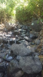 The last part of the trail is a stiff climb on wet stones