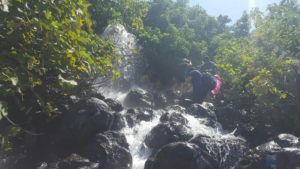 The spring! nice waterfall from the pool above - Ein A-Tina