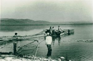 Fisherman on Hula lake fishing with a net called Giraffe , 1940 (Source: Upper Galilee Documentation Center, Pikiwiki)