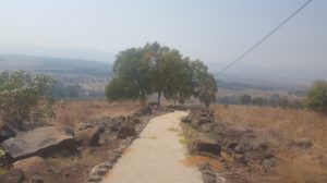 The lowest point of the Gdot lookout with the Panorama view, with the Eucalyptus tress