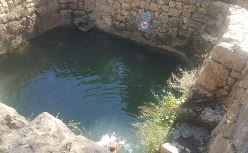 Sataf spring 💧