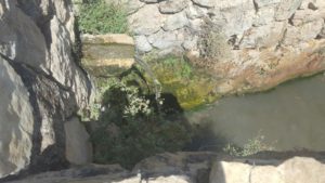 The small water fall that feed the pool