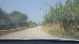 The way to the Yarkon river waterfall