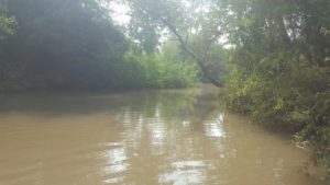 The Yarkon above the waterfall, still something we better not dive in to - Yarkon waterfall