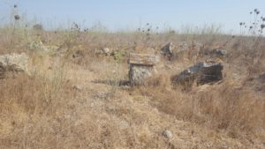 The ruins of the building over on the stream - Dalyot stream