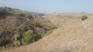 The start of the canyon of Dalyot stream