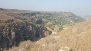 The canyon widen as the stream level lower to limestone level - dalyot stream