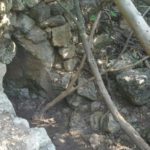 Ein Tanur ("Oven Spring") 10 m grotto. A short walk on the cold water.