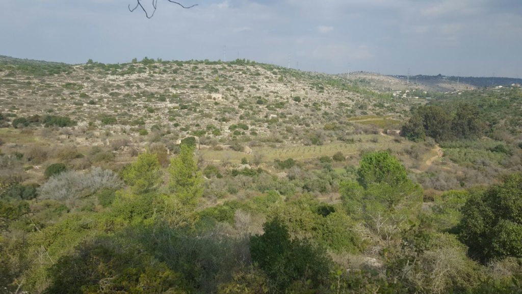 Looking from above on Zanuh stream and the two springs: Ein Nata on the right, below the ruin on the edge of the forst; Ein Tanur below the house on the left. - Hanut