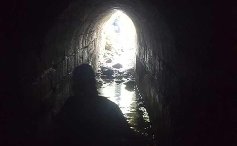 Ein Tanur ("Oven Spring") 10 m grotto. A short walk on the cold water.