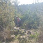 The clear hiking mark to Ein-Tanur grotto.