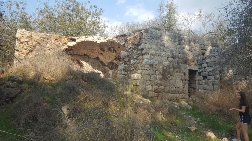 The old Arab house near Ein Mata, the roofs were rib vault - look on the thickness of it. The building is from crusades time and named Salvatio and was maned by . The main building was a church and the rest are farm houses.