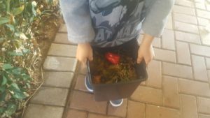 Jannaeus carrying our organic waste to the composter - Compost