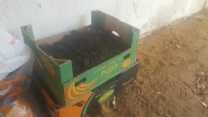 Two boxes, nice amount  - Compost
