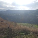 Over the border fence and looking on the Yarmouk valley