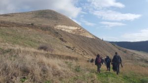 Walking West, the cut in slope up for the road to Hamat Gader shows the chalk stone