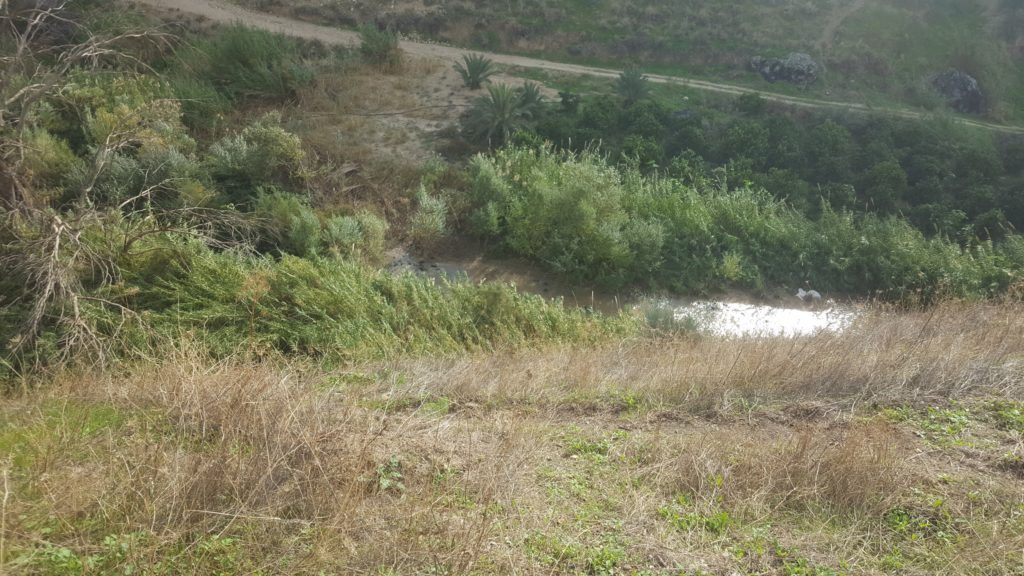 The Yarmouk river down below, we later on visit the deviation dam down the stream - Israel-Jordan water share