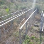 Vardi bridge, over the name of water engineer Yaakov Vardi which was the cheif water engineer of Tahal (Israel Water Design Company). - Israel-Jordan water share