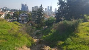 Looking on the Eastern creek - Napoleon's Hill