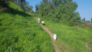 Jannaeus, Mindal and Xuxa climbing the tell from South-East - Napoleon's Hill