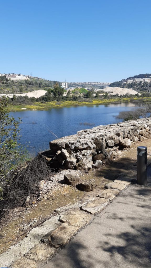 The lake during hot winter days...