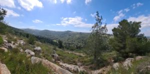 Looking south over Yitle stream