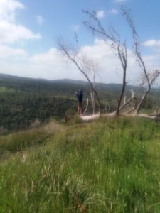 Standing on a log left from the 2016  fire, near the first cistern - Yitle view trail