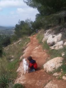 Jannaeus and Xuxa on the roundabout trail