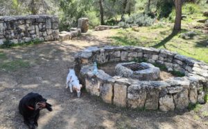 The cistern and the view: - Yitle view trail