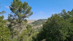 Katana village and Nahal Kfira to the East - Yitle view trail