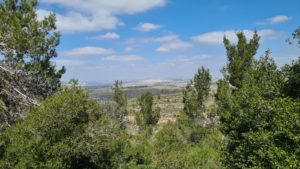 Modi'in Illit to the North - Yitle view trail