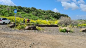 Heading down the green stream - Upper Zavitan stream