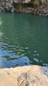 Fish on the pool below the waterfall   - Upper Zavitan stream