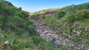 The creek of Upper Zavitan stream