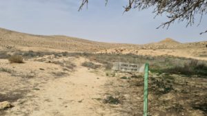 The Pistachio Orchard