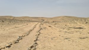 The trail back to the campsite