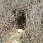 The small Cistern (8th) - Lotz Cisterns